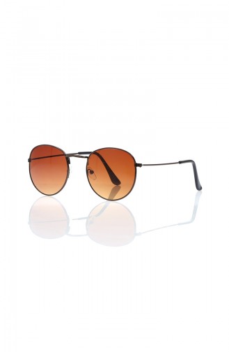 Brown Sunglasses 4-02