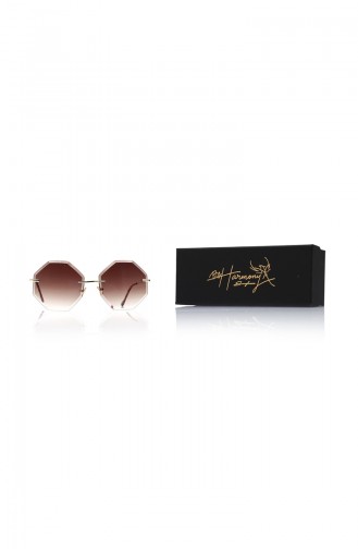 Brown Sunglasses 17041