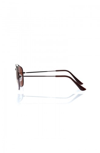 Brown Sunglasses 058-01