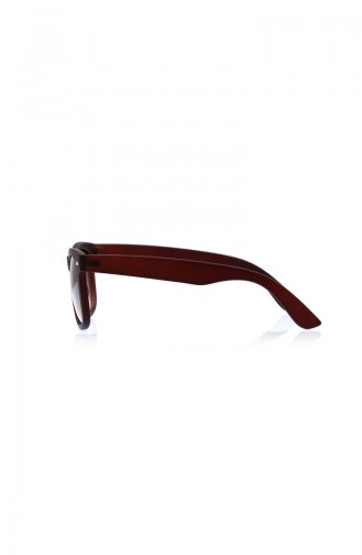 Brown Sunglasses 002-01