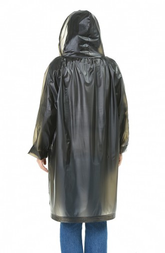 Gray Raincoat 2001-03