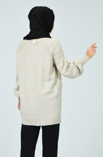 Beige Pullover 7077-01