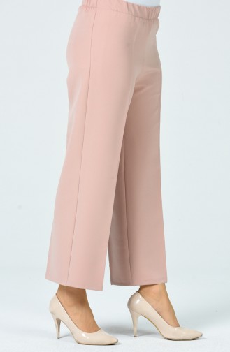 Pantalon Poudre Foncé 0892-08