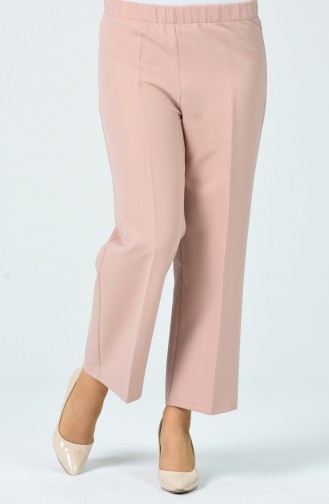 Pantalon Poudre Foncé 0892-08