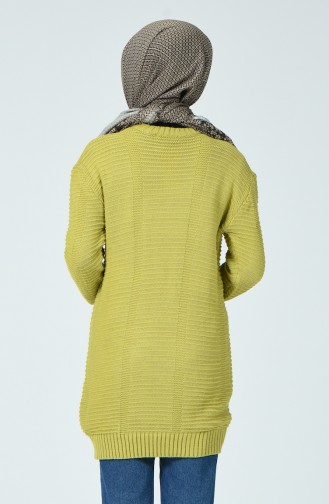 Tricot Sweater Pistachio green 1930-03