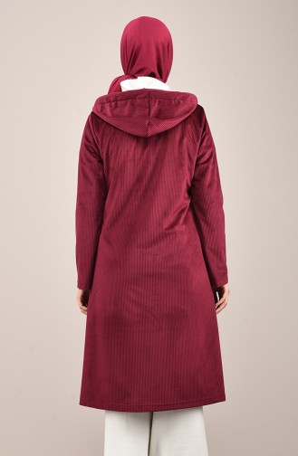 Fuchsia Cape 0034-03