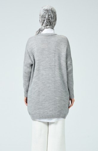 Tricot Silvery Sweater Gray 1936-04