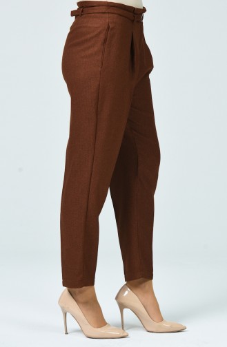 Brown Pants 1731-04