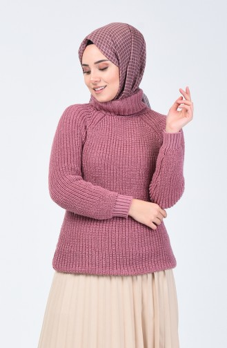 Pull Tricot à Col Roulé 1002-06 Rose Pâle 1002-06