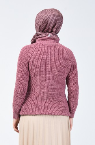 Pull Tricot à Col Roulé 1002-06 Rose Pâle 1002-06
