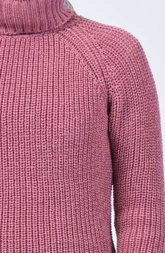 Pull Tricot à Col Roulé 1002-06 Rose Pâle 1002-06