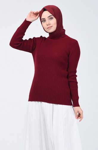 Pull Tricot Demi Col Roulé 4196-01 Plum 4196-01