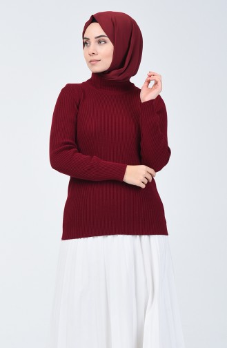 Pull Tricot Demi Col Roulé 4196-01 Plum 4196-01