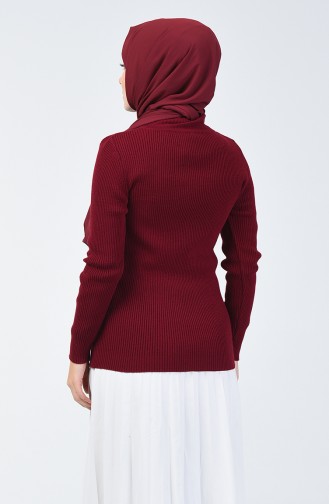 Pull Tricot Demi Col Roulé 4196-01 Plum 4196-01