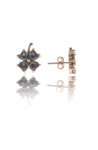 Renkli Earring 2132