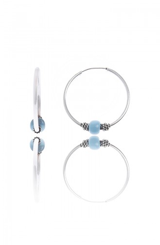 Ringohrringe  P2158 Silber 2158