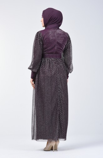 Silbernes Kleid mit Gürtel   2003-01 Lila 2003-01