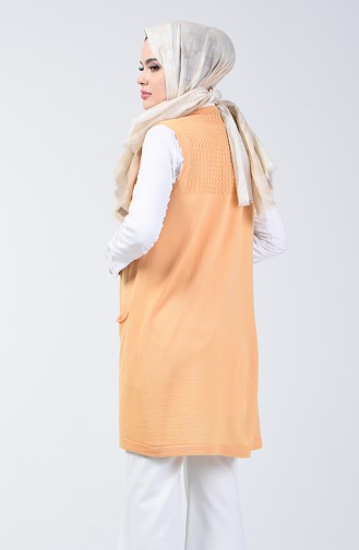 Mustard Gilet 4121-25