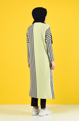 Striped Long Tunic 8017-01 Mink 8017-01