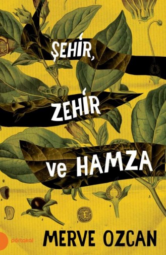 Şehir Zehir Ve Hamza Merve Özcan 9789752468771