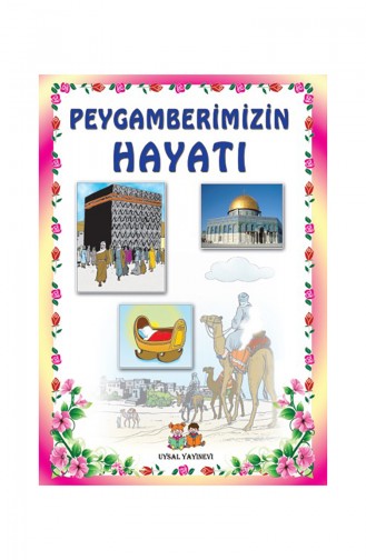 Peygamber Hayatı Orta Boy