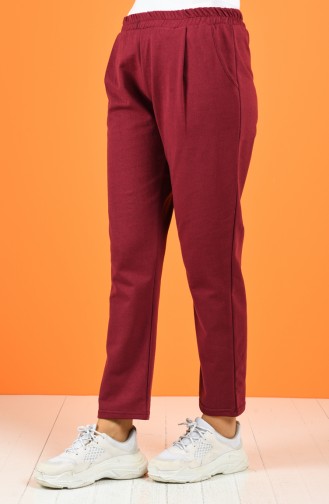 Claret red Broek 8127-02