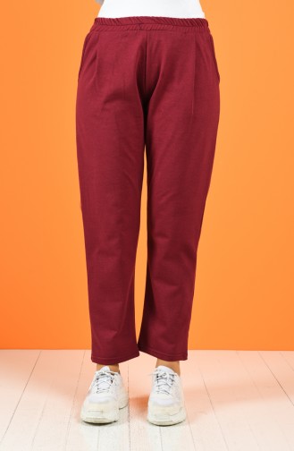 Pantalon Bordeaux 8127-02