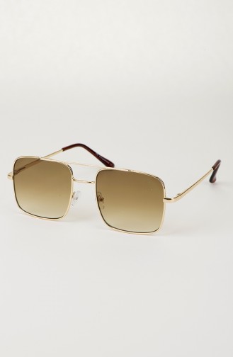 Brown Sunglasses 006-02
