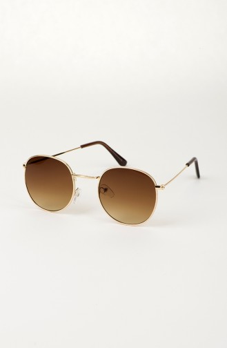 Brown Sunglasses 013-02