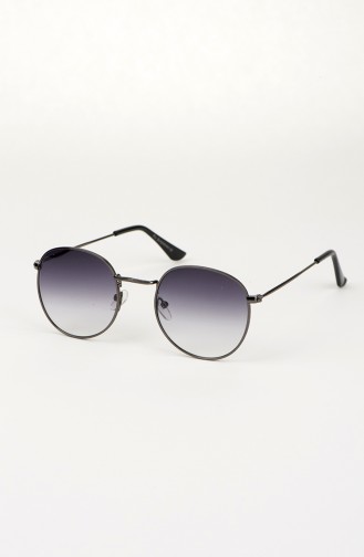 Anthracite Sunglasses 013-06