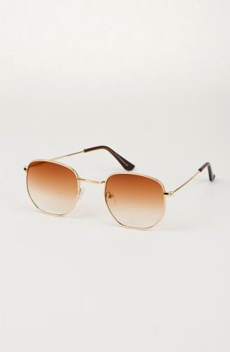 Brown Sunglasses 016-02