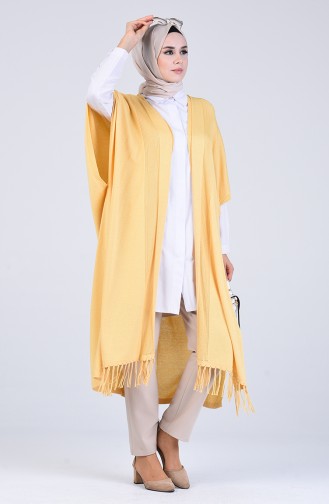 Gilets Jaune 1087-01