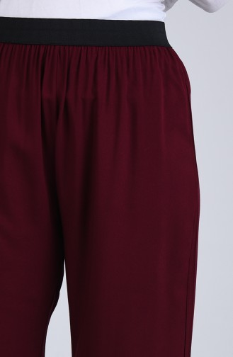 Dark Claret Red Pants 6434-07