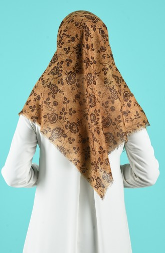 Brown Shawl 2491-03
