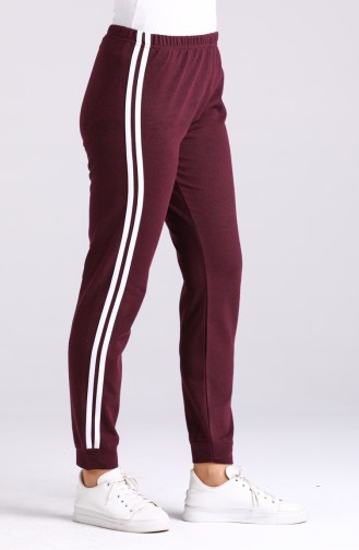 Claret Red Track Pants 3200-01