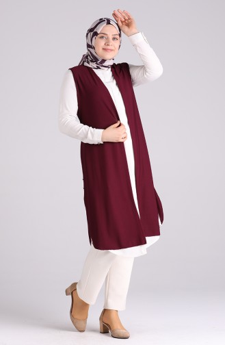 Plum Waistcoats 4566-02