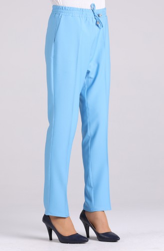 Pantalon Bleu 2090-04