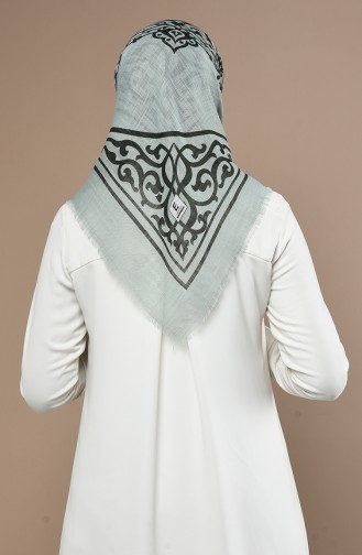 Green Almond Scarf 90650-11