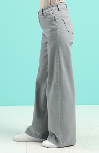 Pantalon Gris 9100-03