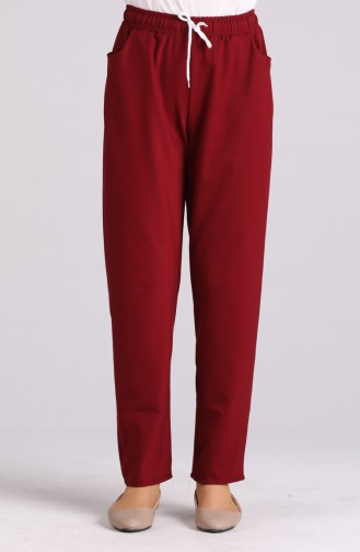 Claret Red Pants 4204PNT-02