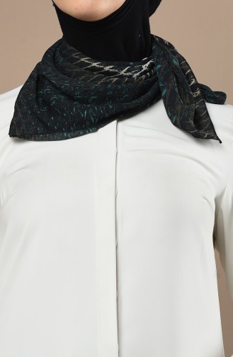 Foulard Vert 61549-01