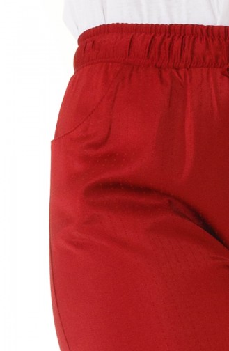 Claret red Broek 4210PNT-05