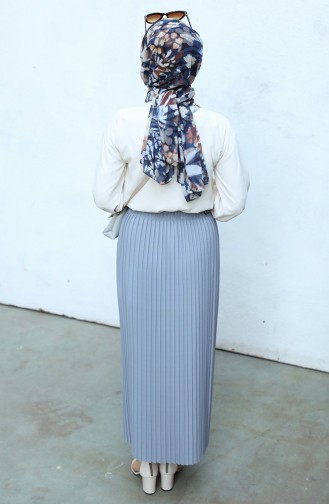 Gray Skirt 2002-12