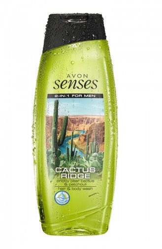 Avon Cactus Ridge Erkek Saç Vücut Şampuanı 250 Ml ŞAMPUAN0570