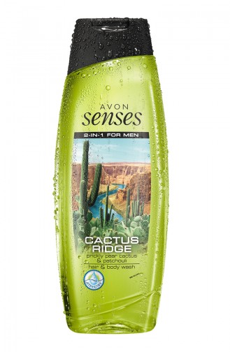 Avon Senses Cactus Ridge Erkek Saç Vücut Şampuanı 500 Ml ŞAMPUAN0660