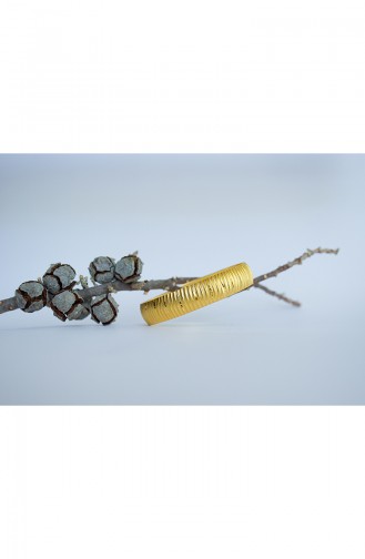 Oro90 Altın Kaplama Bilezik 0136W15D64 Altın Rengi
