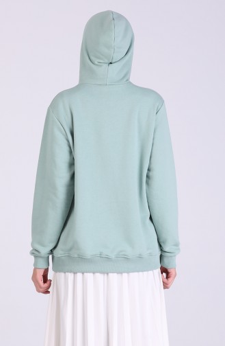 Sweatshirt Vert noisette 3001-01