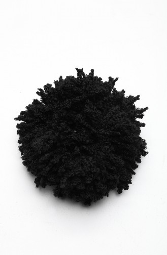 Pince à cheveux Noir 7009-01