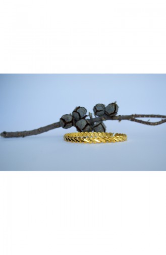 Oro90 Altın Kaplama Burma Bilezik 0127D64 Altın Sarısı