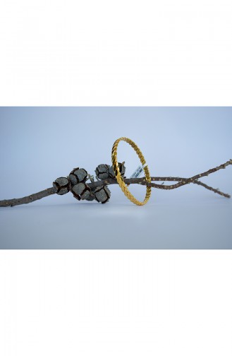Oro90 Altın Kaplama Burma Bilezik 0127D64 Altın Sarısı